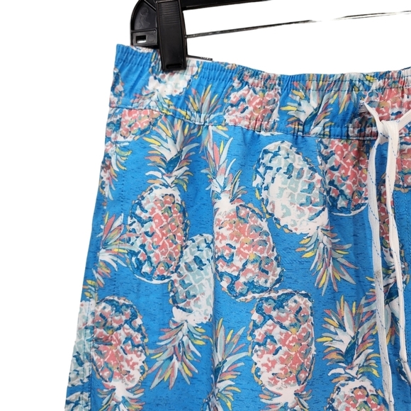 Departwest Men's Pineapple Stretch Lined Swim Short  - S - Picture 3 of 9